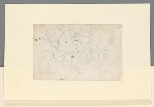 Studies van planten by Crispijn van de Passe, drawing, 1575-1635