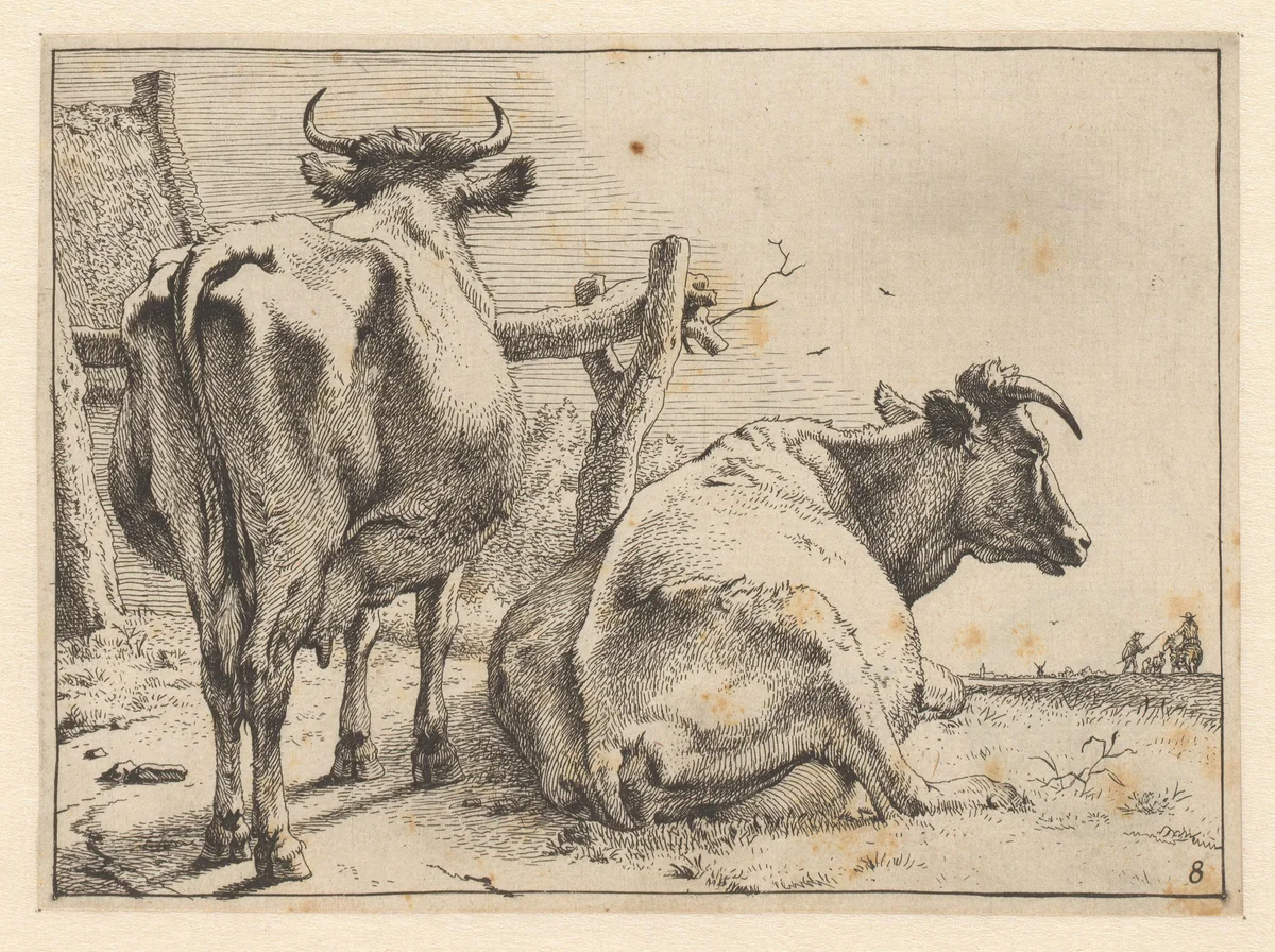 Twee koeien van achteren gezien by Paulus Potter, print, 1650