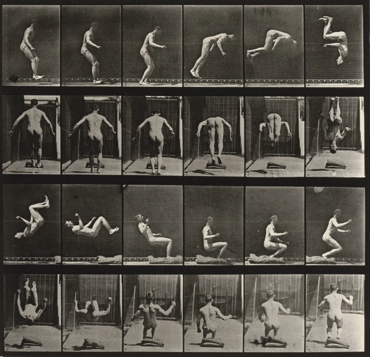 Plate Number 363. Running somersault by Eadweard Muybridge, photograph, 1887