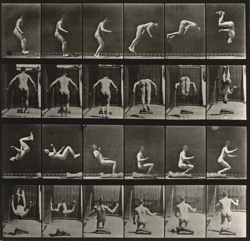 Plate Number 363. Running somersault by Eadweard Muybridge, photograph, 1887