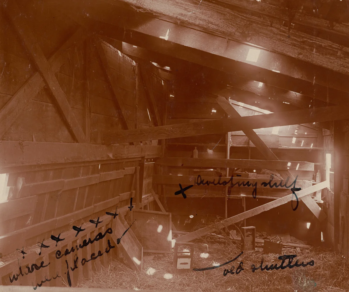 Interior of the Camera Shed at Leland Stanford's Horse Farm in Palo Alto by American 19th Century, photograph, 1870-1880