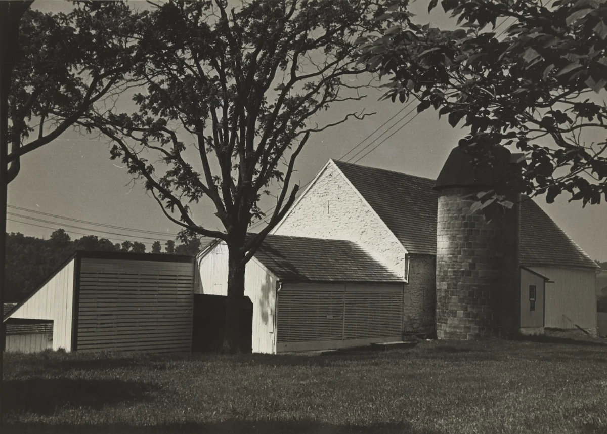 Untitled by Luke Swank, photograph, 1930