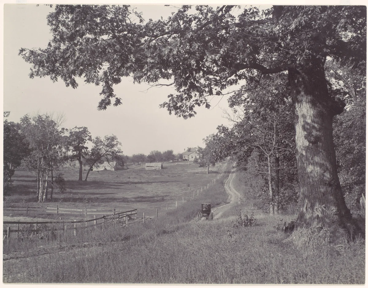 [Wisconsin Landscape] by Henry Hamilton Bennett, photograph, 1889