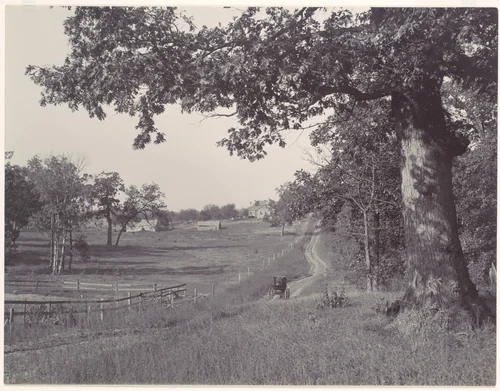 [Wisconsin Landscape] by Henry Hamilton Bennett, photograph, 1889