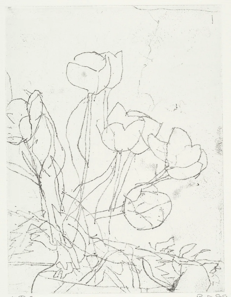 Tulips by Richard Diebenkorn, print, 1989