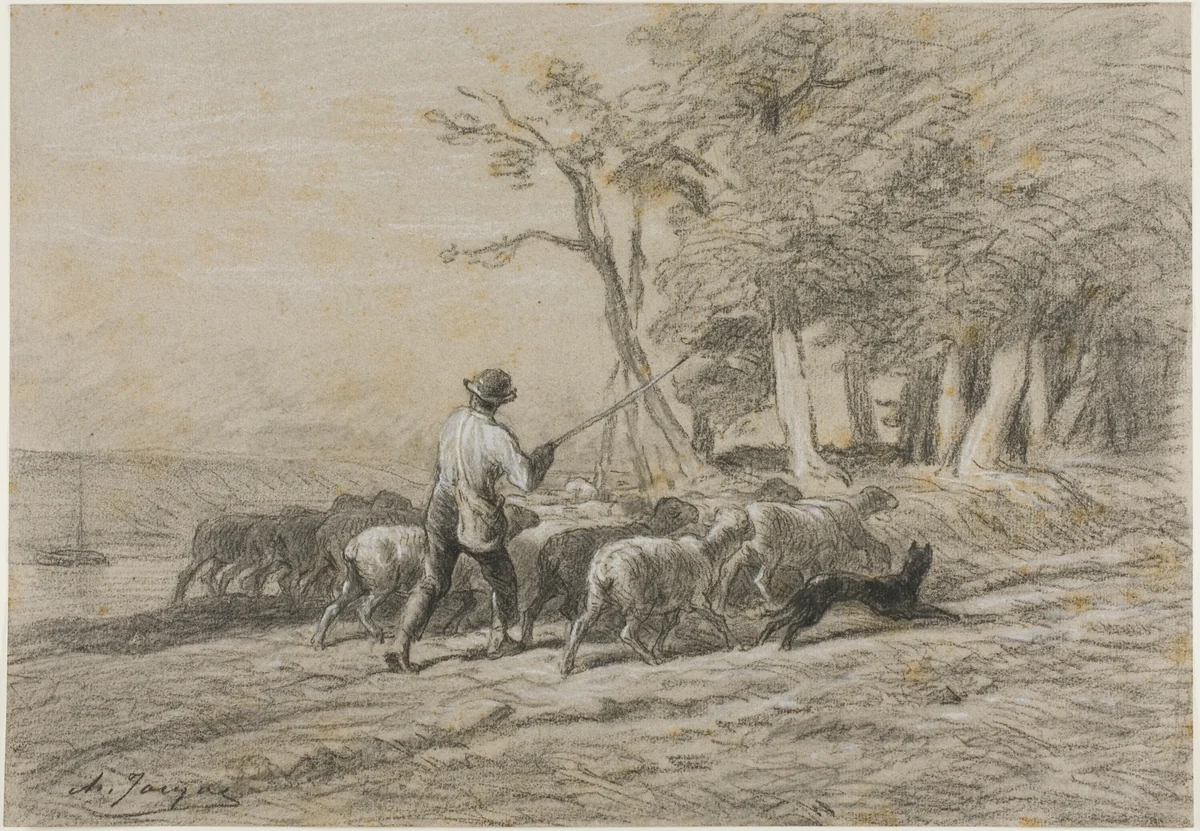 Shepherd and his Flock by Charles-Émile Jacque, drawing, 1833-1894