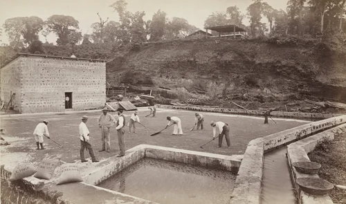 Drying Coffee Berries on the Patio, Las Nubes by Eadweard Muybridge, photograph, 1875