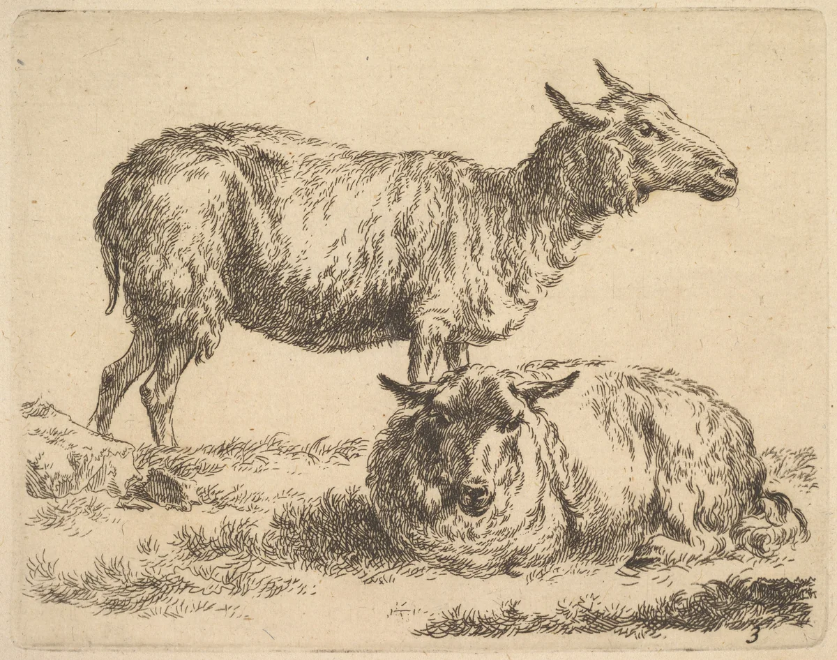 Plate from "The Set of Sheep" by Nicolaes Berchem, print, 1635-1683