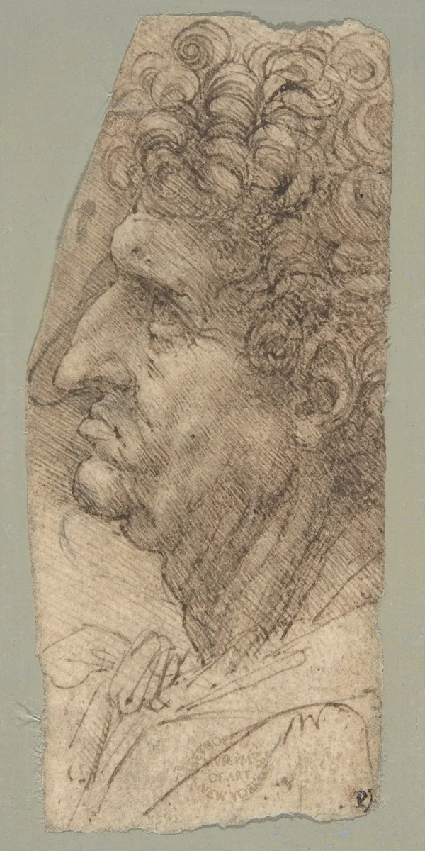 Head of a Man in Profile Facing to the Left by Leonardo da Vinci, drawing, 1490-1494