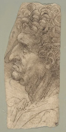 Head of a Man in Profile Facing to the Left by Leonardo da Vinci, drawing, 1490-1494