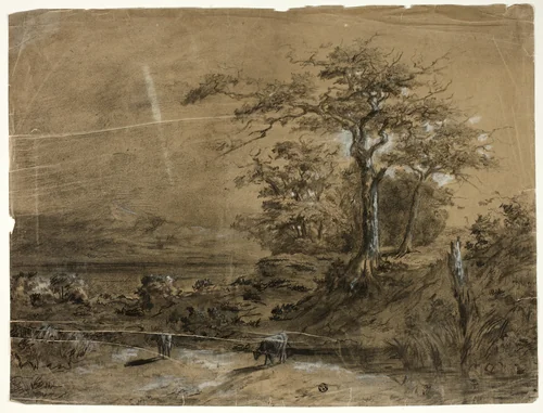 Wooded Landscape with Cows in Foreground by Unknown Artist, drawing, 1750-1849