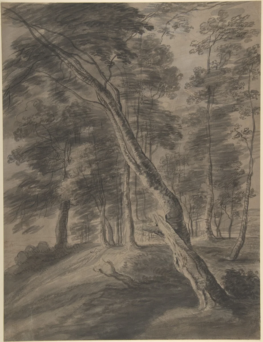 Forest Scene with Tree in Foreground by Jacques d'Artois, drawing, 1620-1699