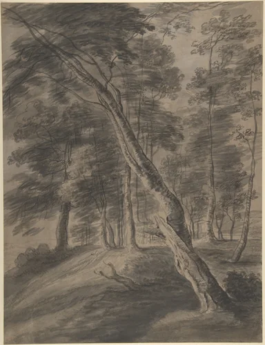 Forest Scene with Tree in Foreground by Jacques d'Artois, drawing, 1620-1699