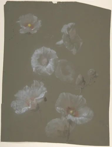 White Hollyhocks by Antoine Berjon, drawing, 1770-1843