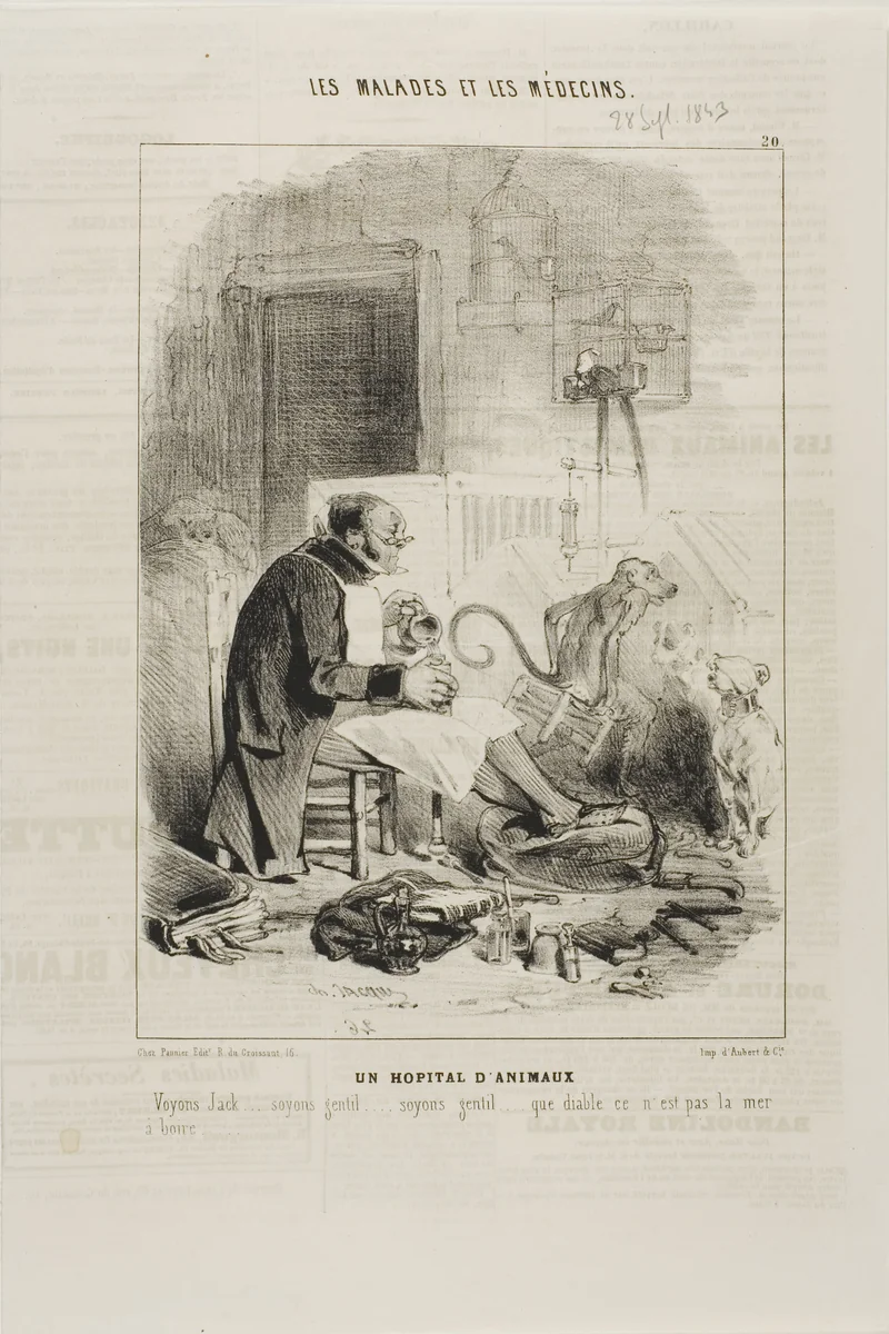 An Animal Hospital (plate 20) by Charles-Émile Jacque, print, 1843