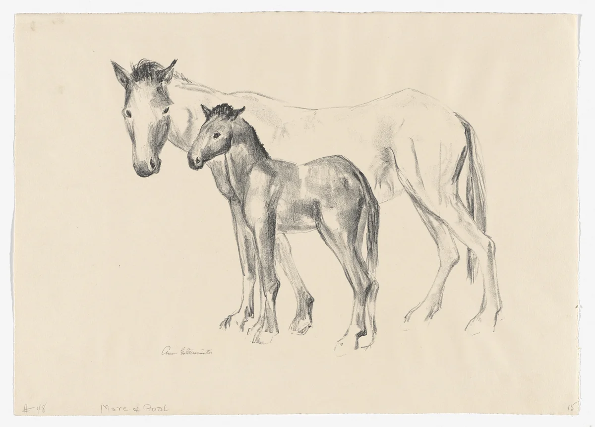 Mare and Foal by Anne Goldthwaite, print, 1938