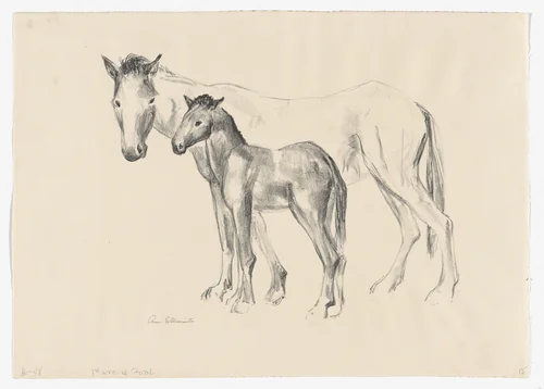 Mare and Foal by Anne Goldthwaite, print, 1938