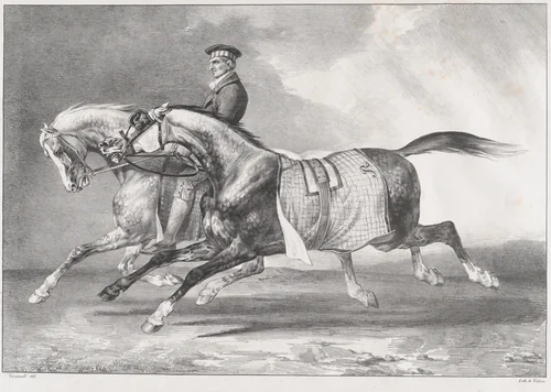 Two Dappled-Grey Horses Being Exercised by Théodore Gericault, print, 1822
