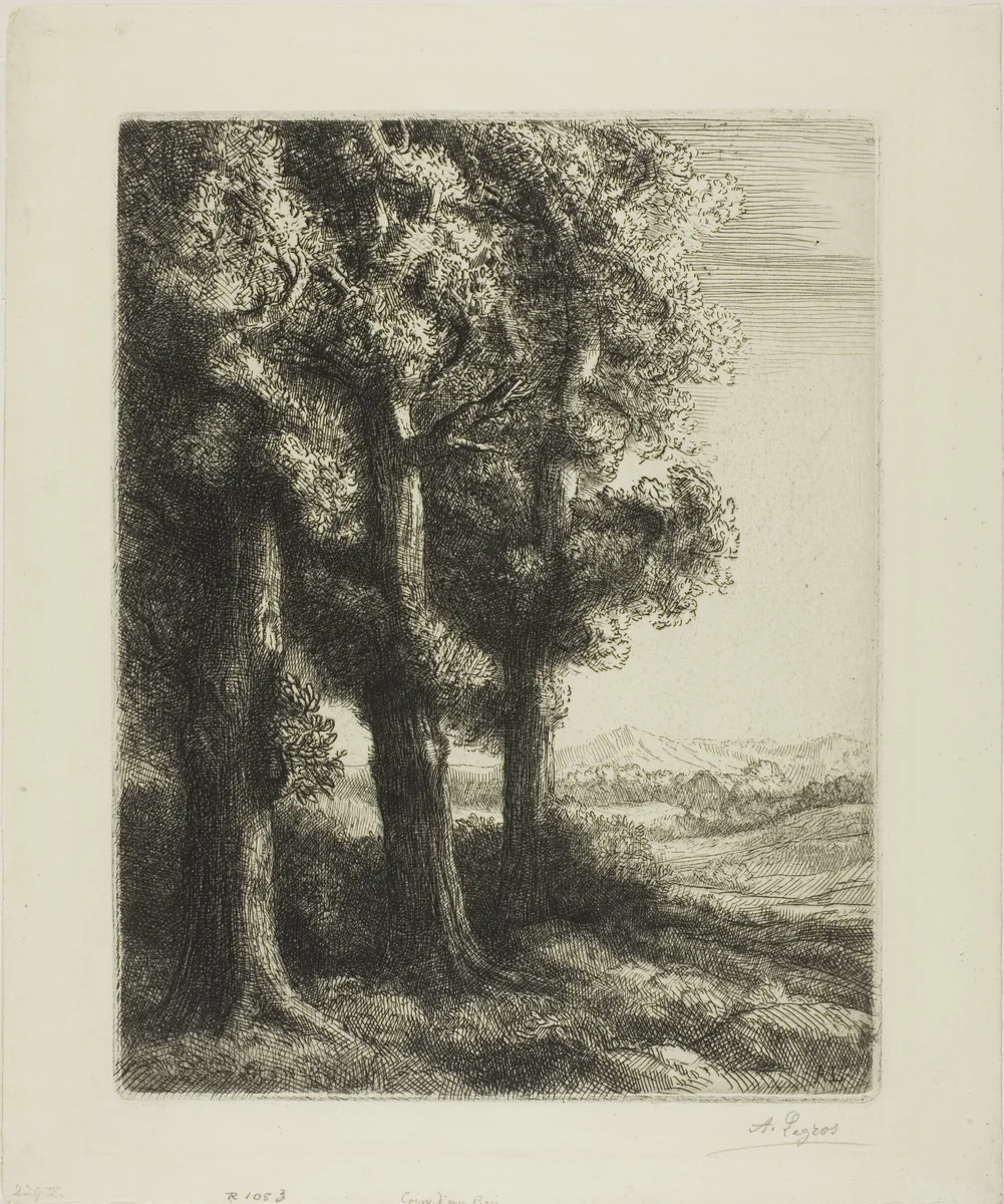 Edge of a Wood by Alphonse Legros, print, 1855-1865