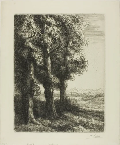 Edge of a Wood by Alphonse Legros, print, 1855-1865