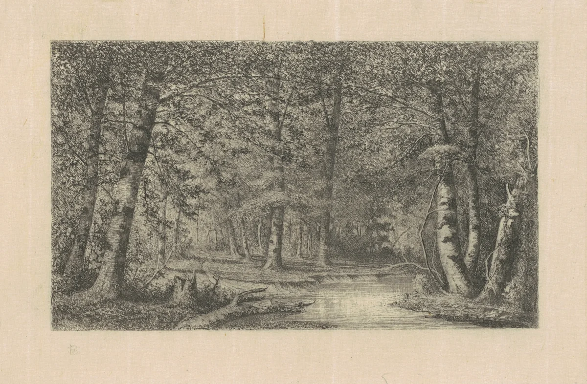 Beech Forest by Carl Brenner, print, 1870-1888