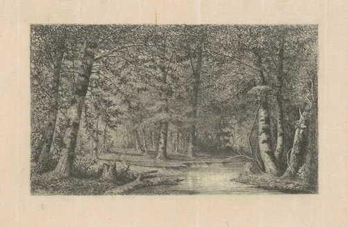 Beech Forest by Carl Brenner, print, 1870-1888