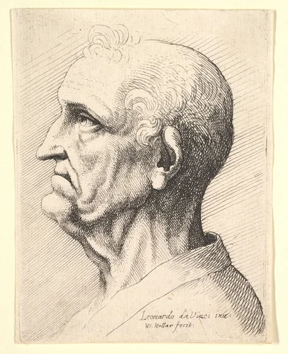 Head of an old man with tufts of curly hair around ear in profile to left by Wenceslaus Hollar, print, 1644-1652