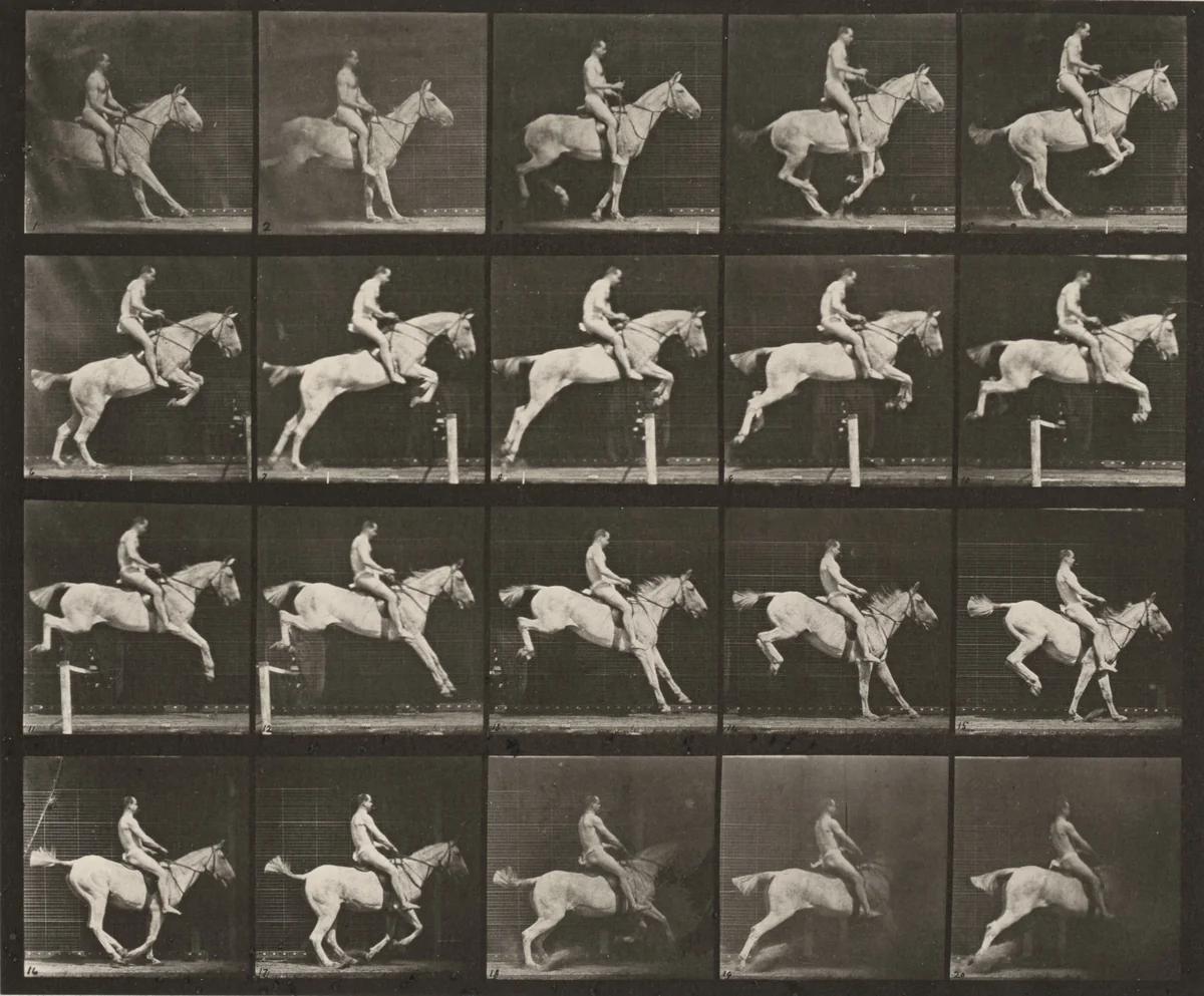 Plate Number 642. "Pandora" jumping a hurdle, saddled; rider nude by Eadweard Muybridge, photograph, 1887
