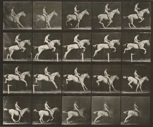 Plate Number 642. "Pandora" jumping a hurdle, saddled; rider nude by Eadweard Muybridge, photograph, 1887