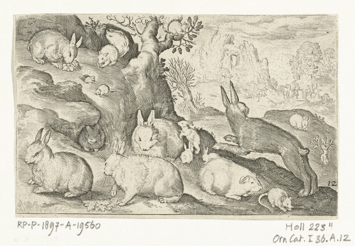 Konijnen, eekhoorn, cavia en muis by Nicolaes de Bruyn, print, 1594