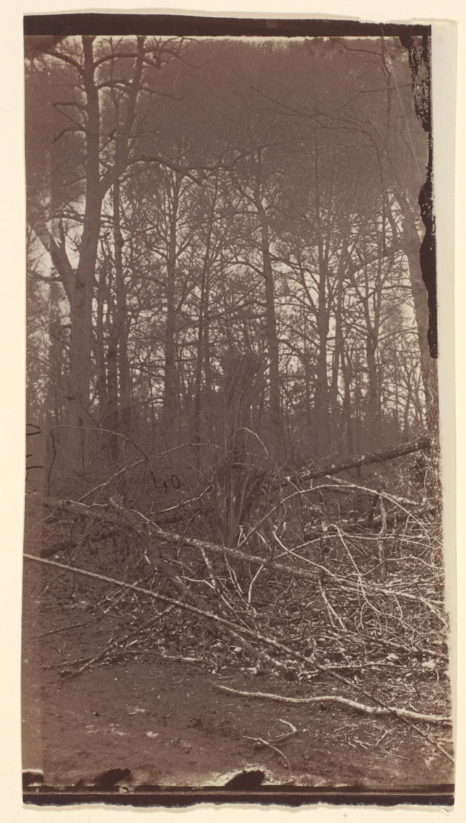 [The Wilderness Battlefield] by G. O. Brown, photograph, 1866