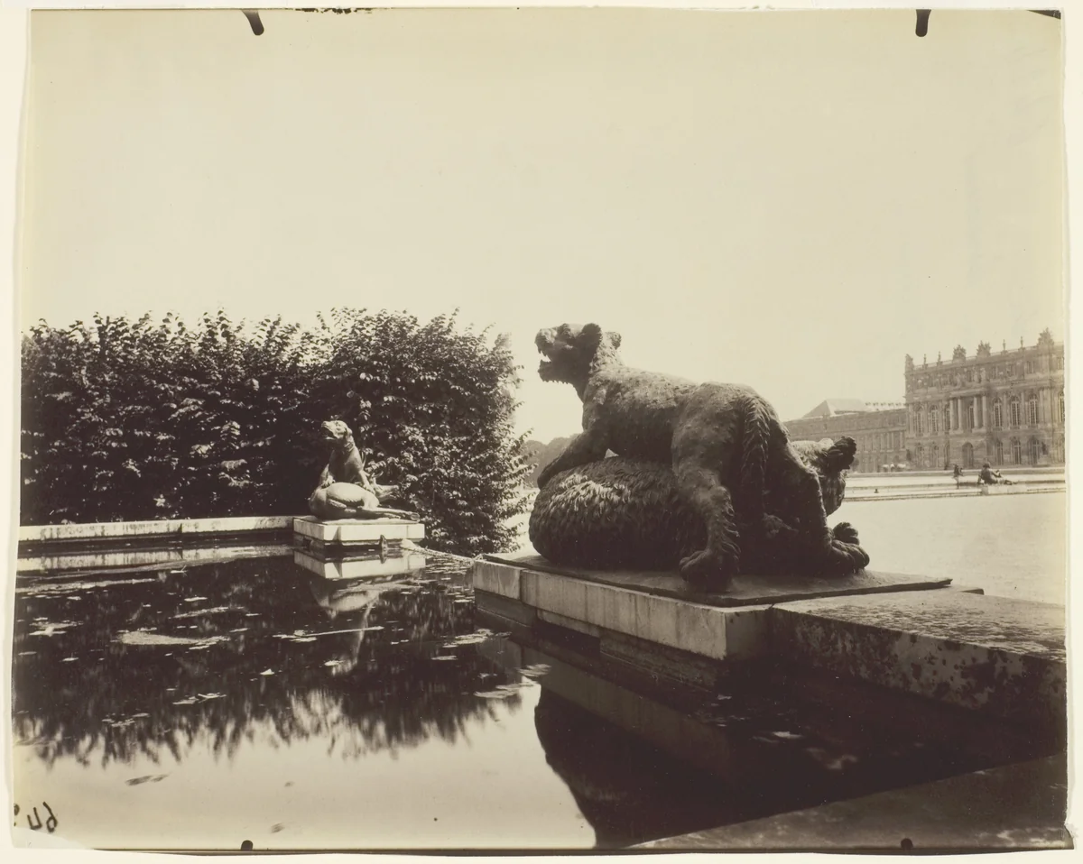 Versailles, Fontaine du Point du Jour, (Tigre Terrassant un Ours par Houzeau) by Jean-Eugène-Auguste Atget, photograph, 1903