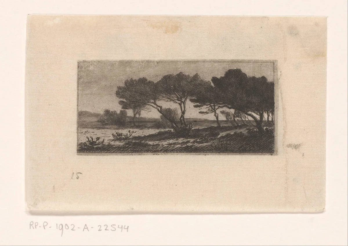 Groep pijnbomen aan de kust bij Hyères by Carel Nicolaas Storm van 's-Gravesande, print, 1872