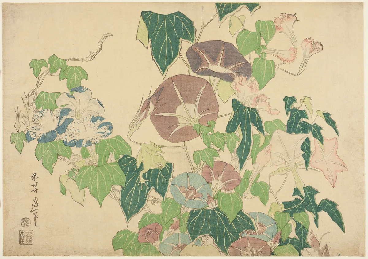 Morning Glories and Tree-frog, from an untitled series of Large Flowers by Katsushika Hokusai (葛飾 北斎), print, 1820-1830