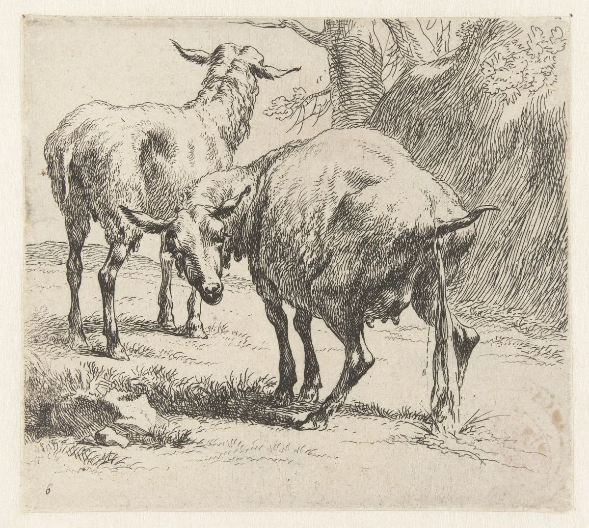 Pissende ooi en een schaap by Nicolaes Pietersz Berchem, print, 1646-1652
