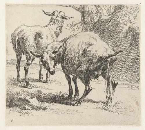 Pissende ooi en een schaap by Nicolaes Pietersz Berchem, print, 1646-1652