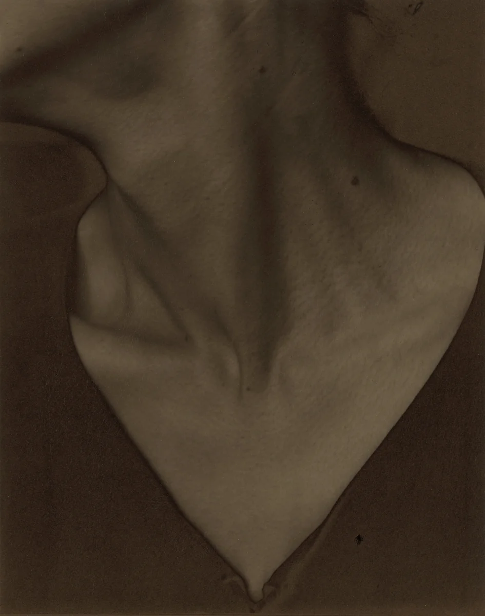 Georgia O'Keeffe—Neck by Alfred Stieglitz, photograph, 1921