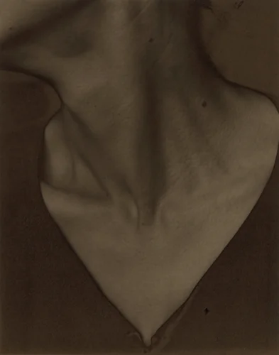 Georgia O'Keeffe—Neck by Alfred Stieglitz, photograph, 1921