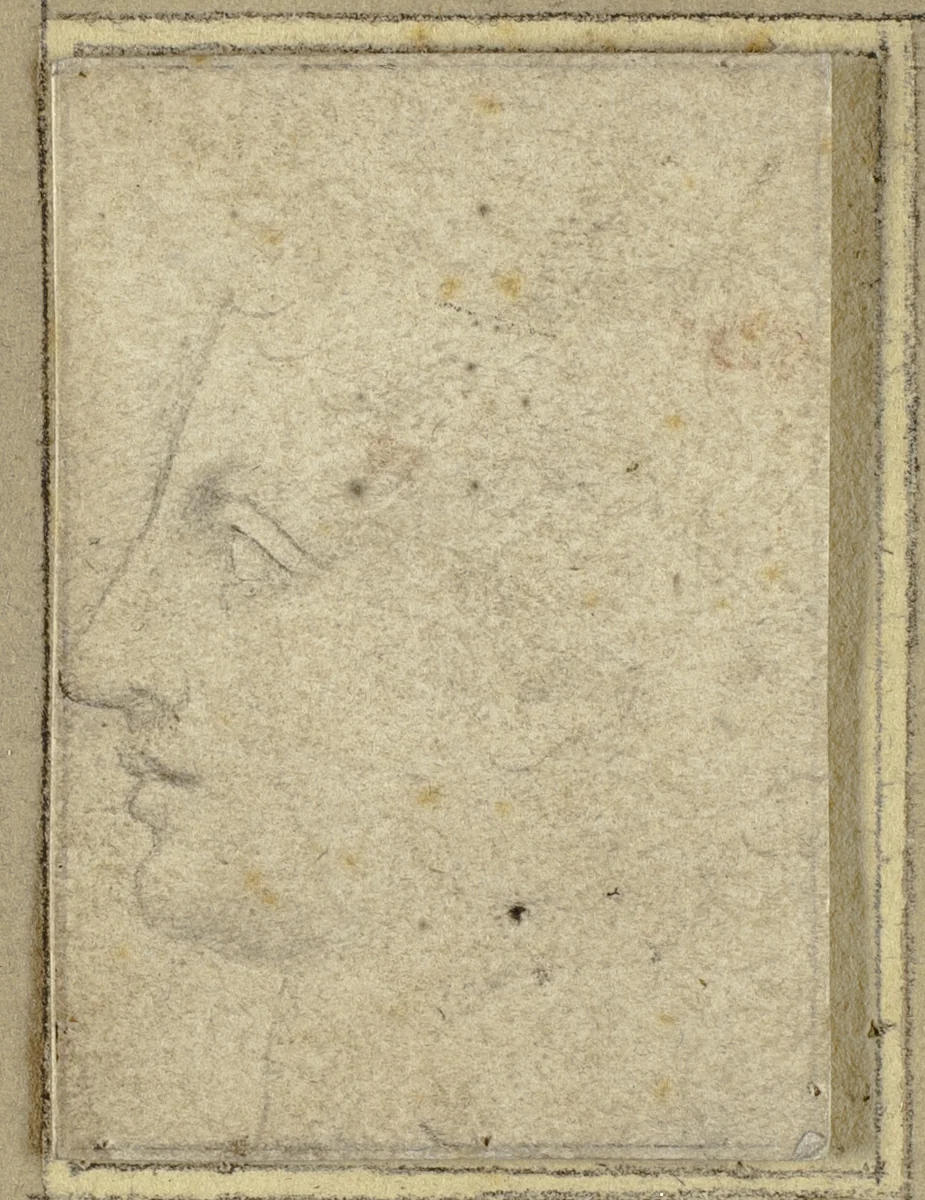 Head of a Youth in Profile to Left by Unknown Artist, drawing, 1500-1529
