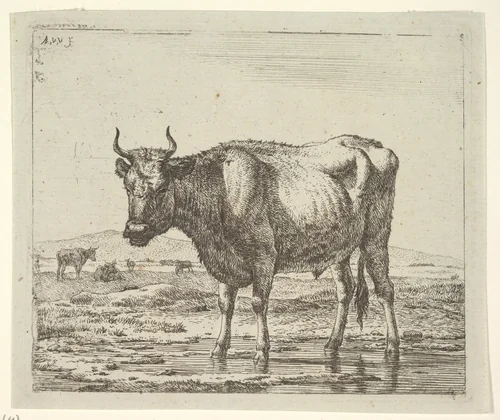 Bull Standing in Water, plate 6 from "Different Animals" by Adriaen van de Velde, print, 1650-1672