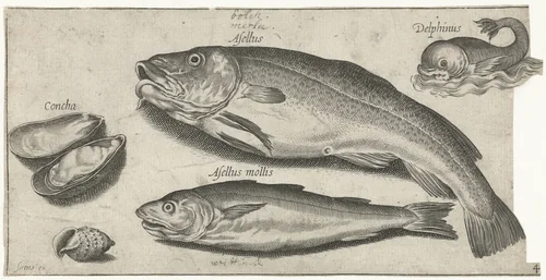 Kabeljauw, wijting, een dolfijn en schelpen by Pierre Firens, print, 1600-1638
