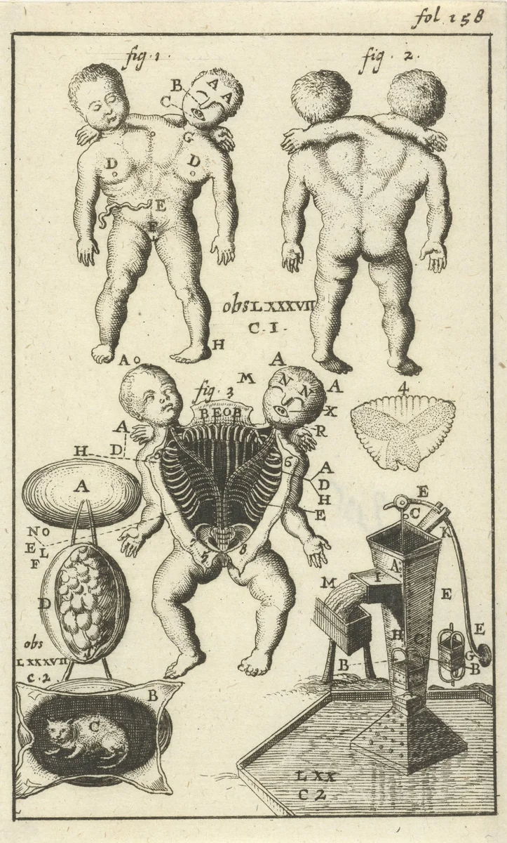 Anatomische afbeelding VI by Jan Luyken, print, 1680-1688