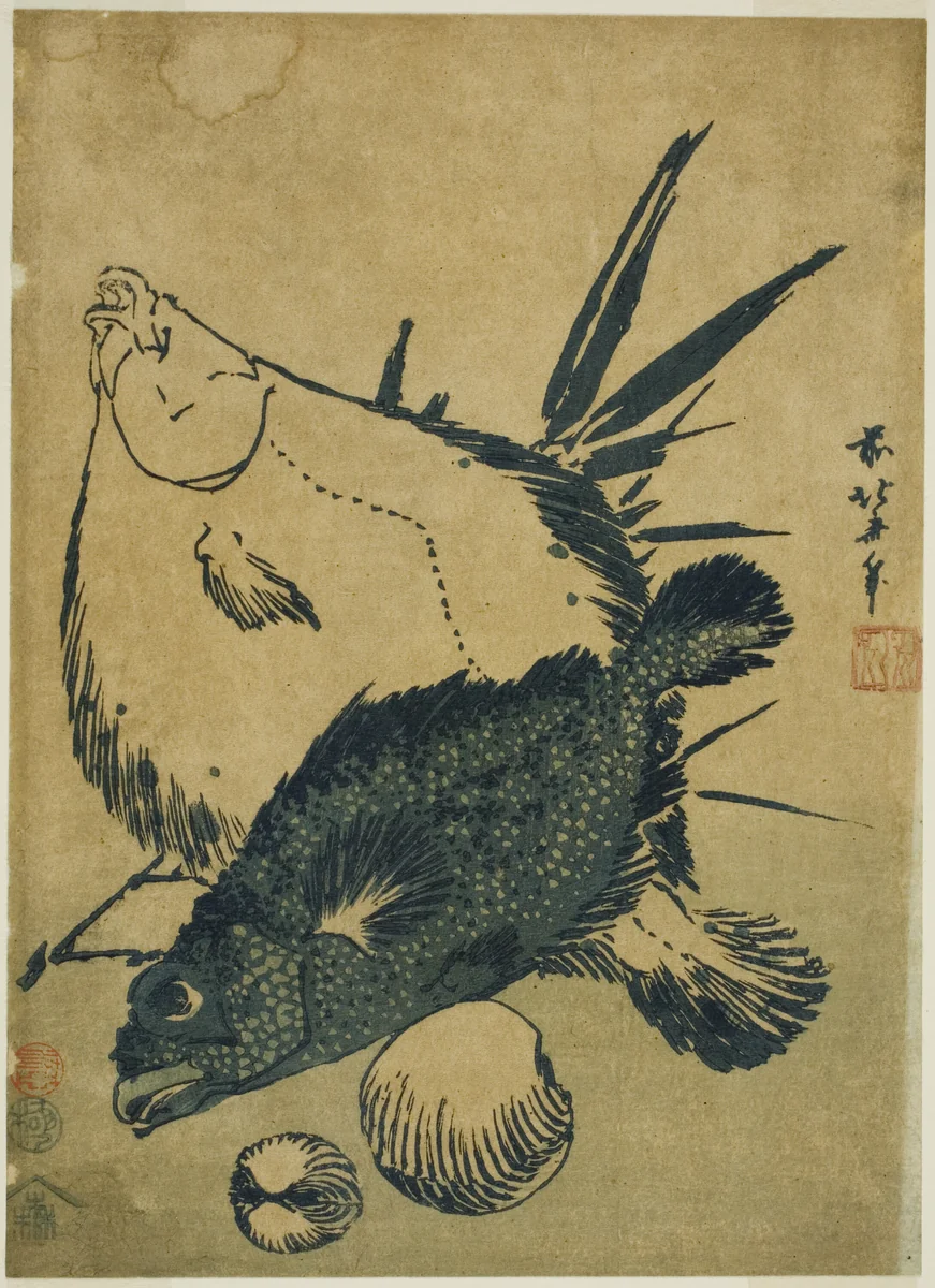 Flatfish, scorpion fish, and shells, from an untitled series of chuban prints by Katsushika Hokusai (葛飾 北斎), print, 1826-1836