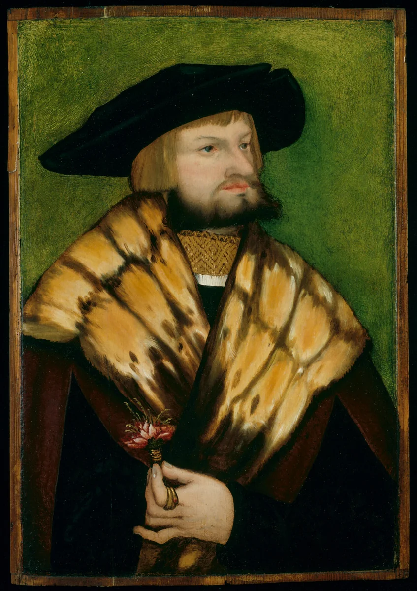 Portrait of Leonhard Fuchs by German Bavaria, painting, 1525