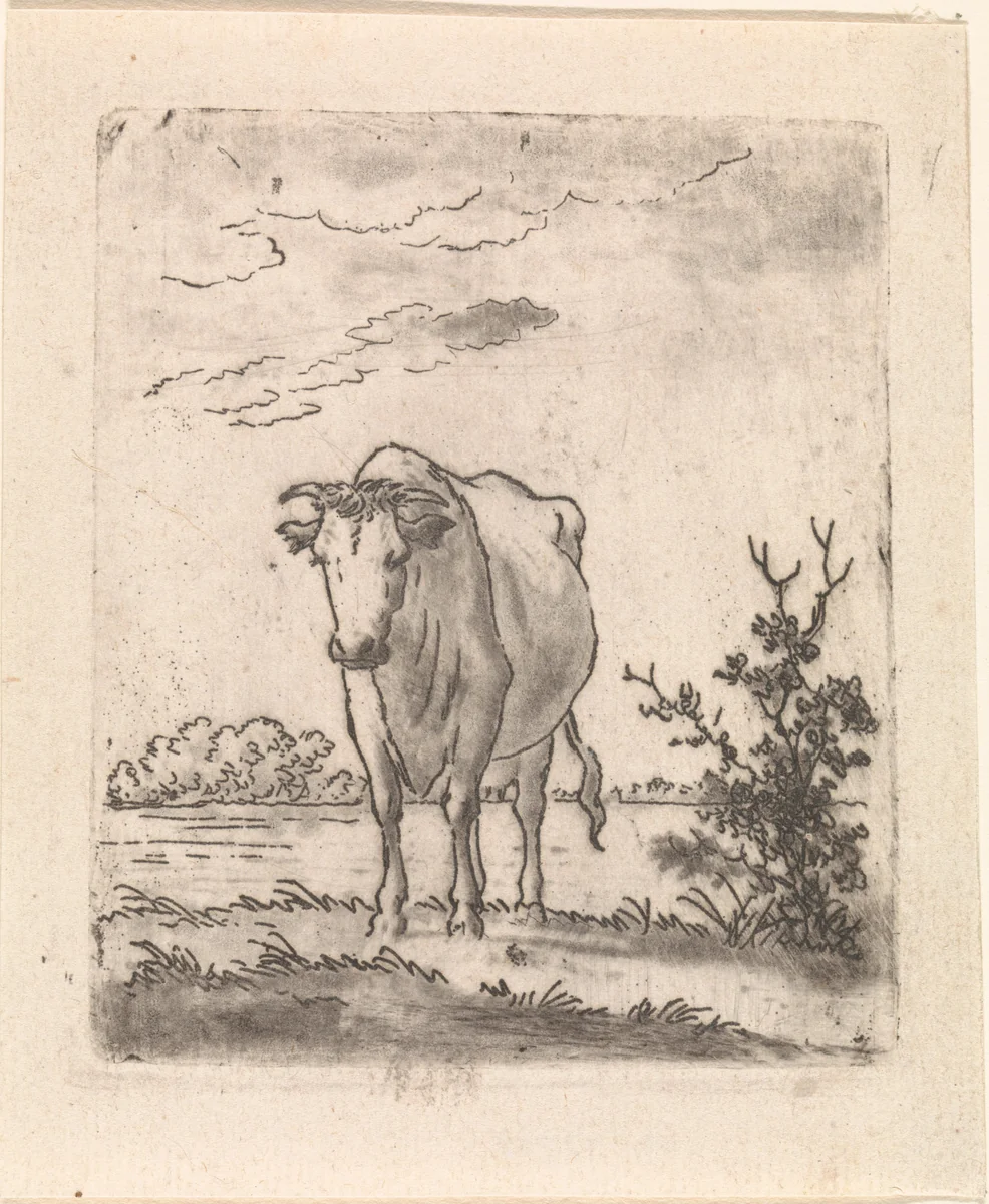Koe, van voren by Pieter Janson, print, 1780-1851