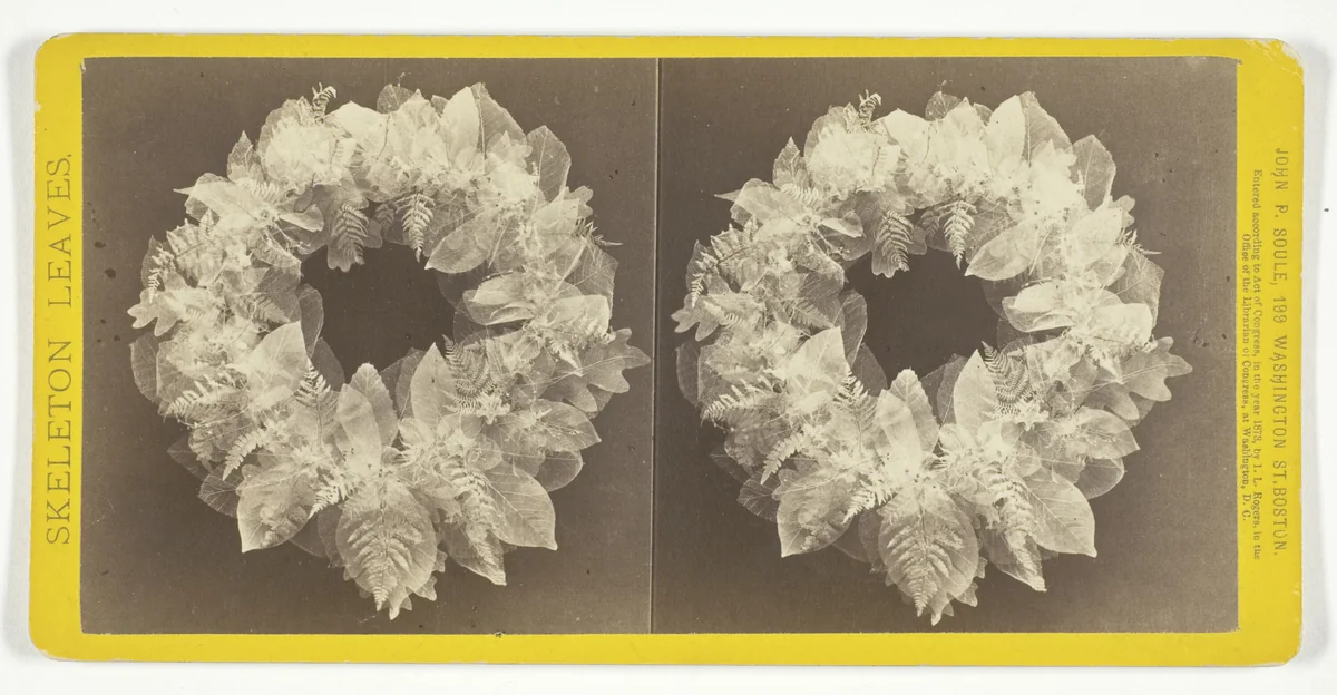 Untitled, from the series "Skeleton Leaves" by John P. Soule, photograph, 1873
