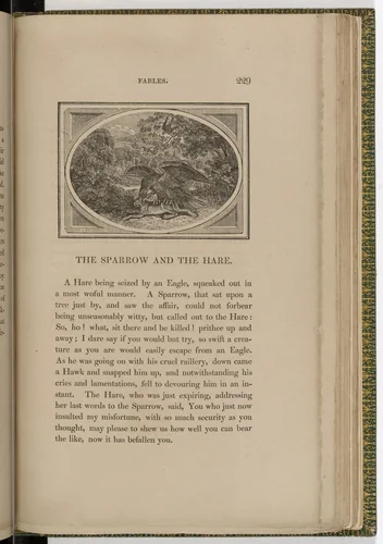 Headpiece (page 229) from The Fables of Aesop by Thomas Bewick, illustrated book, 1818