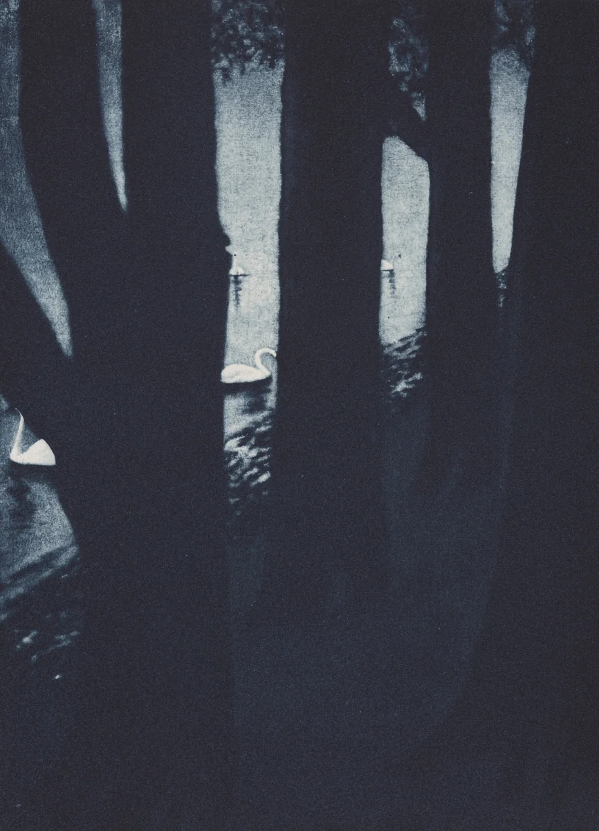 Das Schweigen by Georg Einbeck, photograph, 1898