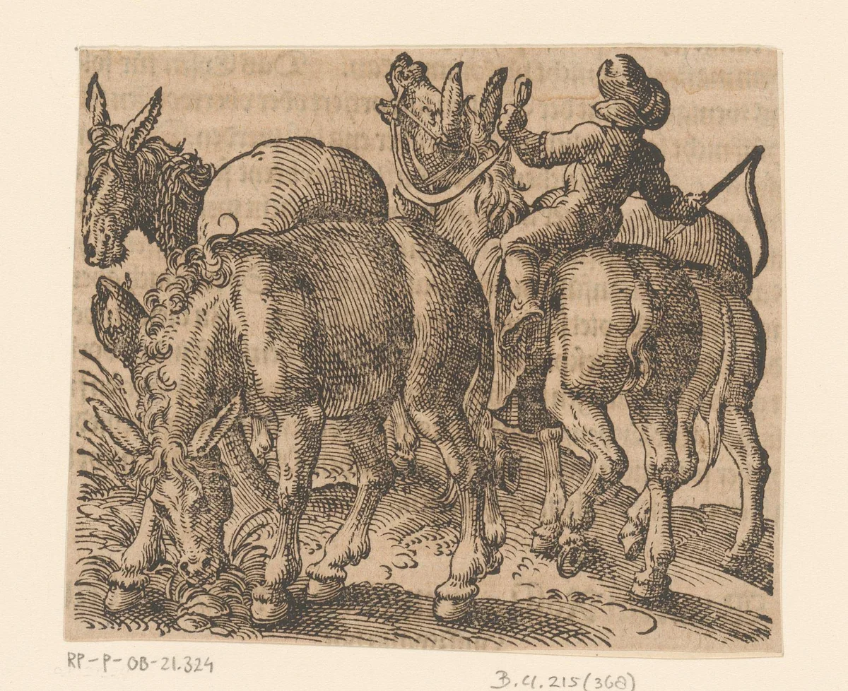 Boer met vier ezels by Jost Amman, print, 1580