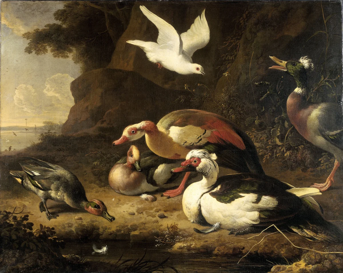 Ducks by Melchior d' Hondecoeter, painting, 1675-1680
